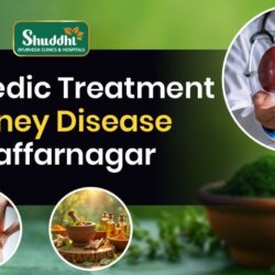 Ayurvedic Treatment for Kidney Disease in Muzaffarnagar