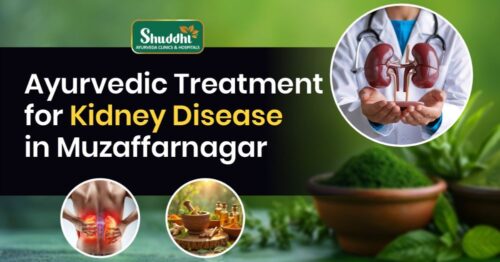 Ayurvedic Treatment for Kidney Disease in Muzaffarnagar Ayurvedic Treatment for Kidney Disease in Muzaffarnagar