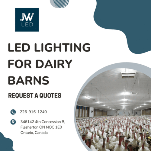 LED Lighting for Dairy Barns JW LED LED Lighting for Dairy Barns JW LED