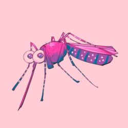 THO-ankle-biter-mosquito