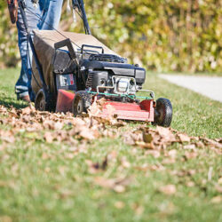 Lawn Edging Service near me