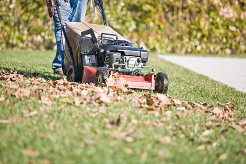 Lawn Edging Service near me Lawn Edging Service near me