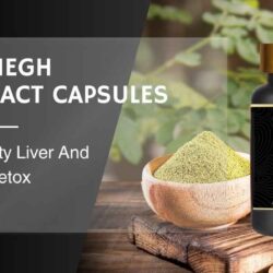 Kalmegh Capsules For Liver Detox_100