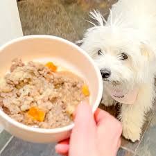 dog food