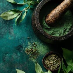 Panchakarma Treatment in Rohtak