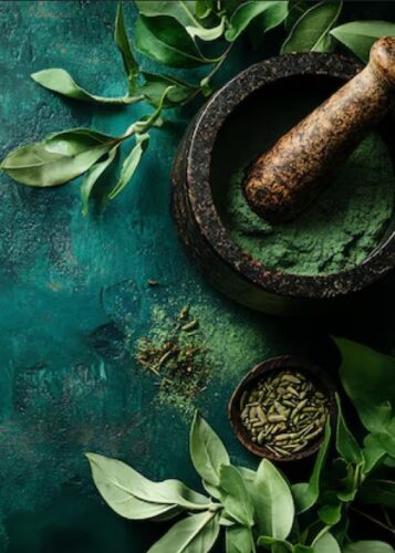 Panchakarma Treatment in Rohtak Panchakarma Treatment in Rohtak