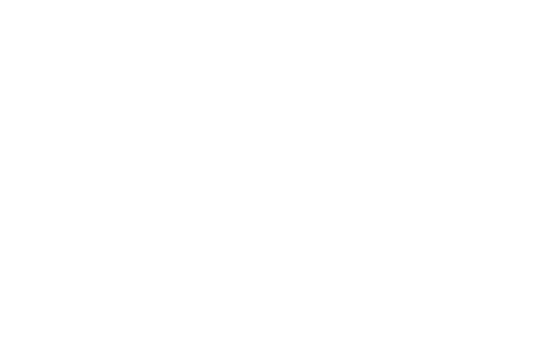 LOGO-LIONESS1_logo LOGO-LIONESS1_logo