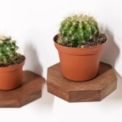 mini shelf