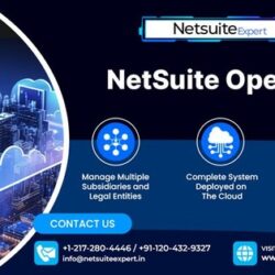 NetSuite-OpenAir-