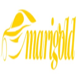 images__2_-removebg-preview (2) images__2_-removebg-preview (2)