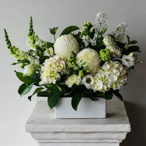 new-white-elegance-600x600 new-white-elegance-600x600