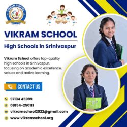 High Schools in Srinivaspur