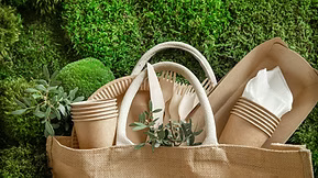 sustainable packaging solutions sustainable packaging solutions