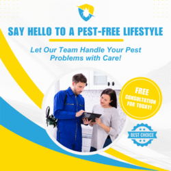 Pest Control Glenroy