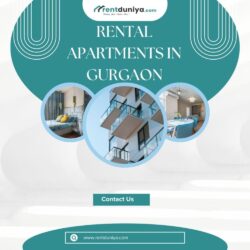 rental apartments in gurgaon (1)