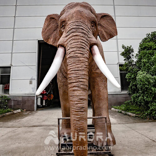elephant4 elephant4