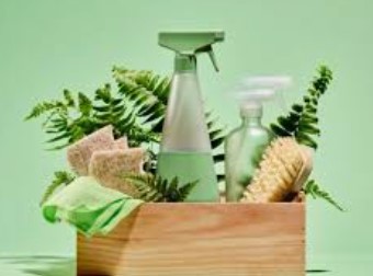 Eco Friendly Cleaning Services Eco Friendly Cleaning Services