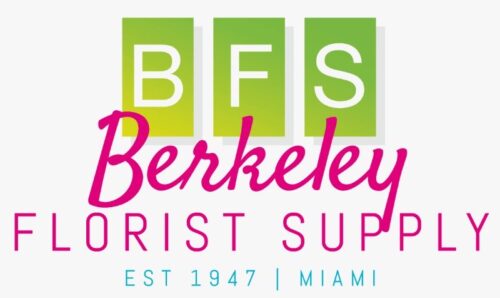 BFS BFS