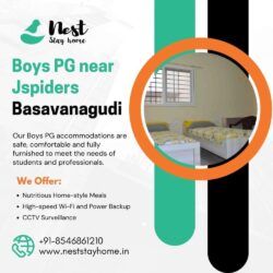 Boys PG near jspiders Basavanagudi