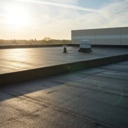 Roof-Coating
