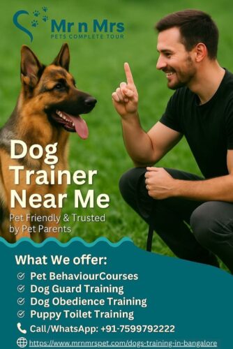Dog Trainer Near Me Dog Trainer Near Me
