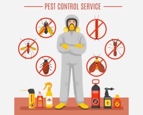 roach control services roach control services