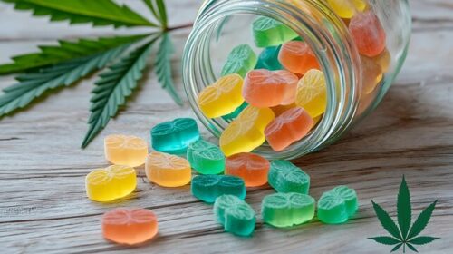 cbd gummies cbd gummies