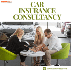 car insurance consultancy (1)