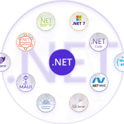 .NET development services