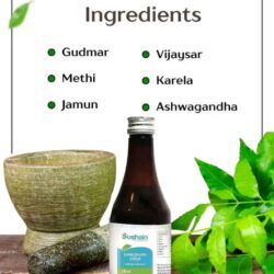 Dibioshain Syrup Ayurvedic_100