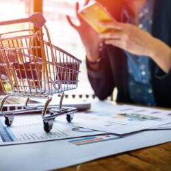 eCommerce Business