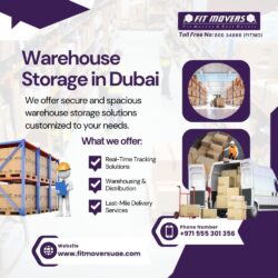 Warehouse Storage in Dubai (1)