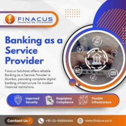 Banking as a Service Provider