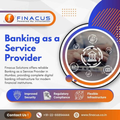 Banking as a Service Provider Banking as a Service Provider