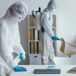 Pest Control Ajman