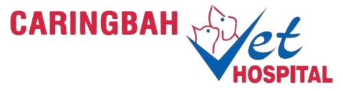 logo-caringbah-vet-hospital logo-caringbah-vet-hospital
