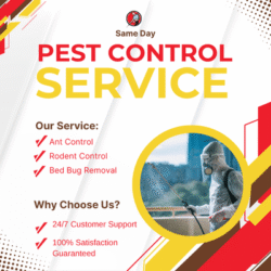Same Day Pest Control Chelsea