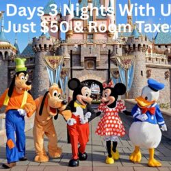 4 Days 3 Nights With Us 3B White