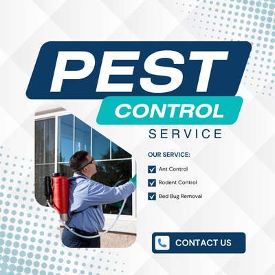 Same Day Pest Control Essendon Same Day Pest Control Essendon