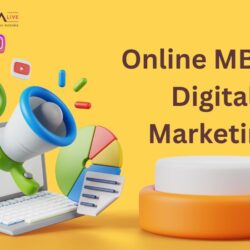 Online MBA in Digital Marketing