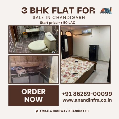 3 BHK flat chandigarh-anand infra 3 BHK flat chandigarh-anand infra