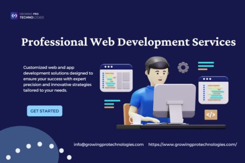 Professional web development services Professional web development services