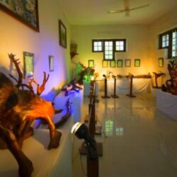 Bay-Island-Driftwood-Museum3