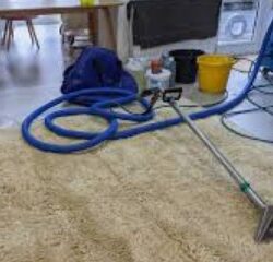 Urine Cleaning Services in UK