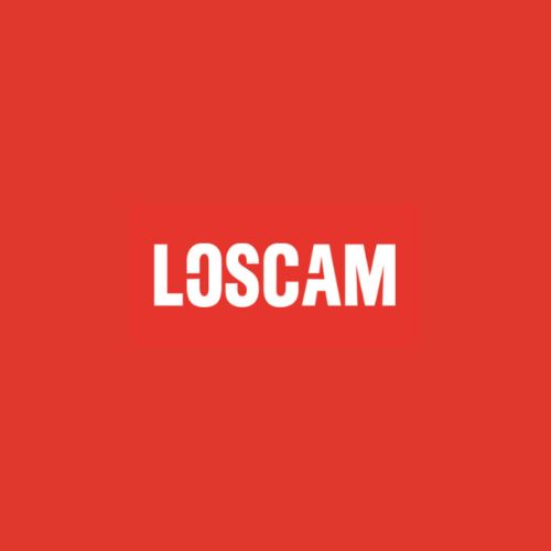 loscam Logo loscam Logo