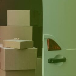 images[1]
