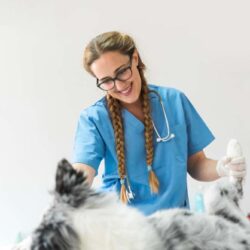female-veterinarian-examining-dog-clinic (1)