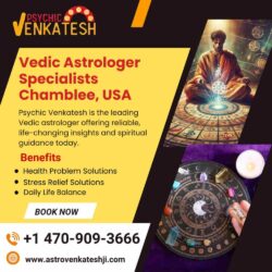 Vedic Astrologer Specialists in