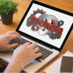 Joomla Development