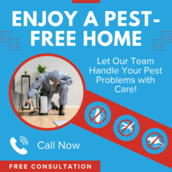 Same Day Pest Control Cranbourne 400